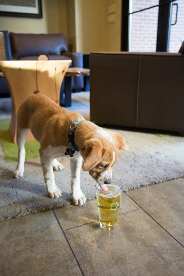 Yappy Hour at the Limelight Aspen copy